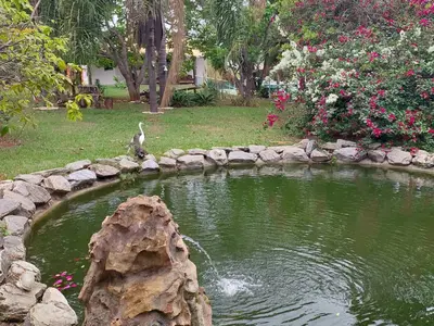 Galeria 10