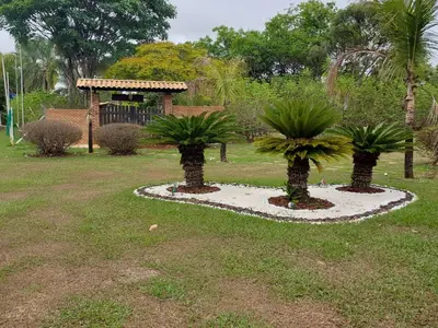Galeria 11