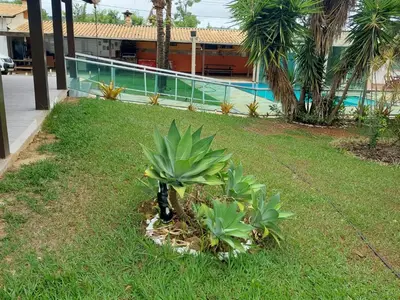 Galeria 14
