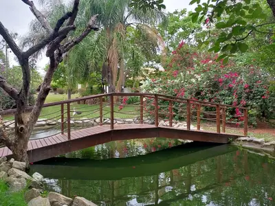 Galeria 8